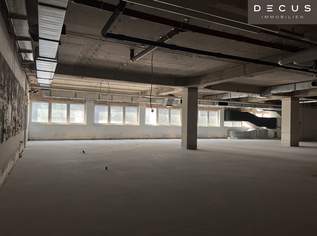 + + + ST. PÖLTEN + + + GESCHÄFTSFLÄCHEN in zentraler Lage + + +, 10127.66 €, Immobilien-Gewerbeobjekte in 3100 Stattersdorf + + + ST. PÖLTEN + + + GESCHÄFTSFLÄCHEN in zentraler Lage + + +, 10127.66 €, Immobilien-Gewerbeobjekte in 3100 Stattersdorf