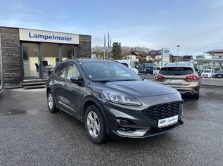 Kuga ST-Line X FHEV AWD, 28900 €, Auto & Fahrrad-Autos in 5163 Mattsee