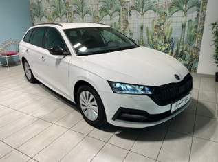 OCTAVIA Combi Style TDI DSG, 22750 €, Auto & Fahrrad-Autos in 8352 Unterlamm