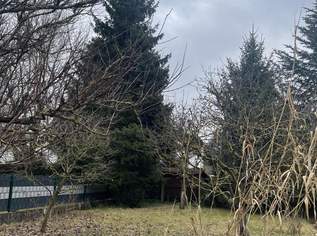 Solides Einfamilienhaus mit Keller im Herzen von Langholzfeld!, 0 €, Immobilien-Häuser in 4061 Pasching