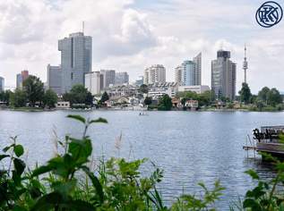 Klein, fein, besonders – Dachgeschoss Rückzugsort an der Alten Donau, 0 €, Immobilien-Wohnungen in 1220 Donaustadt