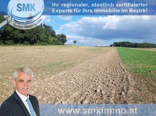 Acker bei Maissau - 3,42 ha landwirtschaftliche Nutzfläche!, 206000 €, Immobilien-Grund und Boden in 3712 Maissau Acker bei Maissau - 3,42 ha landwirtschaftliche Nutzfläche!, 206000 €, Immobilien-Grund und Boden in 3712 Maissau