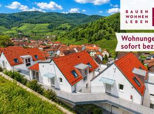 Weingartenblick - Spitz an der Donau, 0 €, Immobilien-Wohnungen in 3620 Gemeinde Spitz