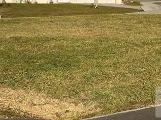 Traumhaftes Baugrundstück mitten in Sebersdorf!, 89000 €, Immobilien-Grund und Boden in 8272 Neustift bei Sebersdorf