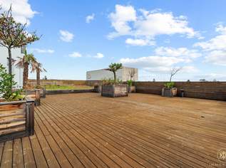 Außergewöhnliche Gewerbefläche in Wien: 2.915 m², Räumlichkeiten, Terrasse & 24 Stellplätze!, 16938.7 €, Immobilien-Gewerbeobjekte in 1230 Liesing Außergewöhnliche Gewerbefläche in Wien: 2.915 m², Räumlichkeiten, Terrasse & 24 Stellplätze!, 16938.7 €, Immobilien-Gewerbeobjekte in 1230 Liesing