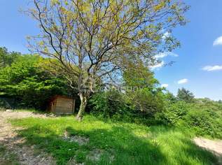 !!! Preisreduktion !!! Baugrundstück in Wienerwald Ruhelage an der Wiener Stadtgrenze im Bezirk Klosterneuburg, 380000 €, Immobilien-Grund und Boden in 3400 Gemeinde Klosterneuburg