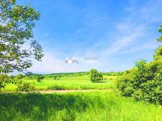 Baugrund gesamt im Paradies, 695000 €, Immobilien-Grund und Boden in 7091 Gemeinde Breitenbrunn Baugrund gesamt im Paradies, 695000 €, Immobilien-Grund und Boden in 7091 Gemeinde Breitenbrunn