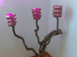 Kunstvolle Handgemachte Holz Stehlampe , 70 €, Marktplatz-Antiquitäten, Sammlerobjekte & Kunst in 3370 Gemeinde Ybbs an der Donau Kunstvolle Handgemachte Holz Stehlampe , 70 €, Marktplatz-Antiquitäten, Sammlerobjekte & Kunst in 3370 Gemeinde Ybbs an der Donau