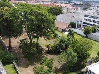 attraktives Grundstück mit Altbaumbestand in Bestlage von Eisenstadt, 349000 €, Immobilien-Grund und Boden in 7000 Eisenstadt