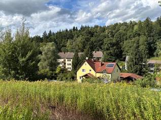 KAPITALANLAGE - Legen Sie ein Kaufanbot!, 80960 €, Immobilien-Grund und Boden in 4782 St. Florian am Inn
