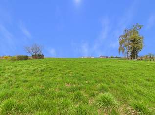 Traumgrundstück in TOP LAGE (Rebhahnweg) Zum Bauen oder als sichere Geldanlage, 1749600 €, Immobilien-Grund und Boden in 4060 Leonding