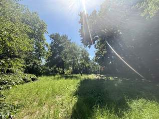 Platz für ein Einfamilien- oder Doppelhaus - Eigengrund am Ödberg in sonniger, grüner Umgebung, 495000 €, Immobilien-Grund und Boden in 3400 Gemeinde Klosterneuburg