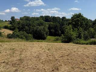 Baugrundstück in sonniger Ruhelage, 129000 €, Immobilien-Grund und Boden in 7574 Burgauberg