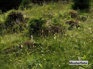 Unbebautes Grundstück, 219100 €, Immobilien-Grund und Boden in 3413 Hintersdorf Unbebautes Grundstück, 219100 €, Immobilien-Grund und Boden in 3413 Hintersdorf