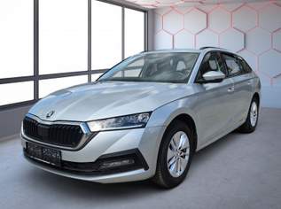 Octavia Ambition TDI, 17990 €, Auto & Fahrrad-Autos in 3921 Langschlag