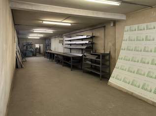 Geschäftsfläche / Lager / Produktion ca. 460 m2 nähe Messe Wien vielseitig nutzbar TOP-LAGE ++ Rendite Objekt, 770000 €, Immobilien-Gewerbeobjekte in 1020 Leopoldstadt