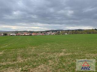 Top Investion: eventuell mÃ¶gliches Bauhoffnungsland nahe dem Stadtzentrum von Hollabrunn!, 180 €, Immobilien-Grund und Boden in 2020 Hollabrunn