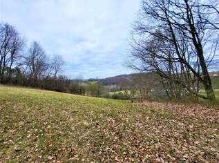 Baugrund (5.444m²) in Traumlage in Grieselstein - Nähe Therme Loipersdorf!, 200000 €, Immobilien-Grund und Boden in 8380 Grieselstein