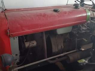 Steyr N182 , 2700 €, Auto & Fahrrad-Traktoren & Nutzfahrzeuge in 3292 Gemeinde Gaming