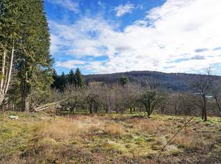 Grundstück mit Panoramablick an der Wiener Stadtgrenze - teilbar mit Bauträger-Eignung!, 1150000 €, Immobilien-Grund und Boden in 3001 Gemeinde Mauerbach
