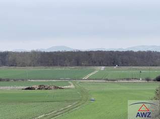 Schöne Äcker in besten Lagen!, 0 €, Immobilien-Grund und Boden in 2263 Gemeinde Dürnkrut
