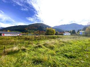 VIEL PLATZ! Großzügiges Baugrundstück im Herzen des Almtals, 145000 €, Immobilien-Grund und Boden in 4644 Scharnstein