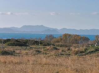 Grundstück Mallorca 