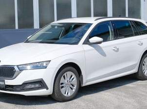 Octavia Ambition DSG, 20990 €, Auto & Fahrrad-Autos in 6344 Gemeinde Walchsee