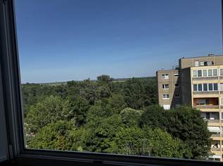 Große Familienwohnung mit Aussicht zum Schnäppchenpreis 15 min von Wien!, 219000 €, Immobilien-Wohnungen in 2514 Katastralgemeinde Traiskirchen