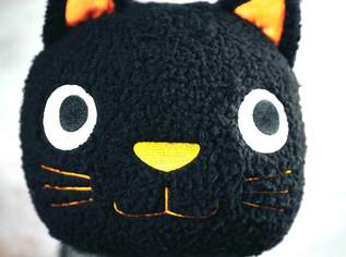 "Luna" die Baby-Katze