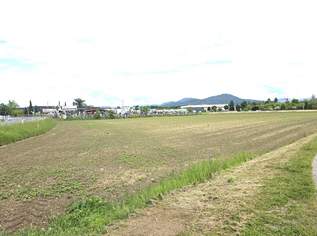 12854 m² Industriegrundstück Klagenfurt Ost, 2377990 €, Immobilien-Grund und Boden in 9020 Innere Stadt