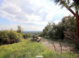 Eigengrund: Grünland mit Gartenhaus - Großes Grundstück in Mauer am Kadoltsberg - direkt am Lainzer Tiergarten, 425000 €, Immobilien-Grund und Boden in 1230 Liesing Eigengrund: Grünland mit Gartenhaus - Großes Grundstück in Mauer am Kadoltsberg - direkt am Lainzer Tiergarten, 425000 €, Immobilien-Grund und Boden in 1230 Liesing