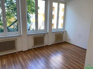 PERFEKT GESCHNITTENER SINGLEIHIT "MIT KÜCHE", 672.18 €, Immobilien-Wohnungen in 1100 Favoriten