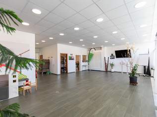 Vielseitiges Anwesen mit Wohn- und Geschäftshaus, Nebengebäuden & großzügigem Garten, 740000 €, Immobilien-Gewerbeobjekte in 2472 Gemeinde Prellenkirchen