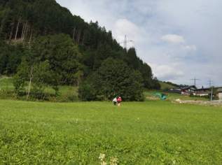 12216m² großes Grundstück in Klösterle am Arlberg - Wiese