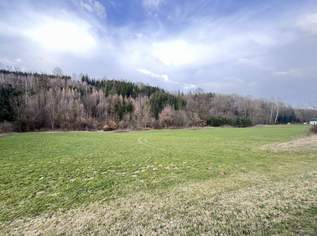 Waldfläche in St. Florian zu verkaufen!, 144625 €, Immobilien-Grund und Boden in 4782 St. Florian am Inn