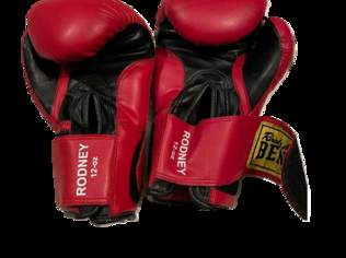 Boxsack mit Boxhanschuhen Boxsack mit Boxhanschuhen