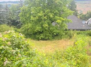 Baugrund in Klosterneuburg – Weidling 1.793 m² Grundstücksfläche | Altbestand vorhanden | teilbar !!, 0 €, Immobilien-Grund und Boden in 3400 Weidling