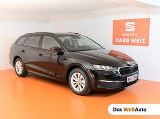 Octavia Selection TDI DSG, 31730 €, Auto & Fahrrad-Autos in 8160 Weiz