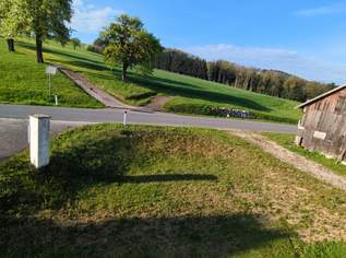 Große ruhige Wohnung am Bauernhof