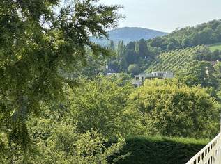 Wertbeständig & begehrt: Baugrundstück in Grinzinger Bestlage, 3200000 €, Immobilien-Grund und Boden in 1190 Döbling Wertbeständig & begehrt: Baugrundstück in Grinzinger Bestlage, 3200000 €, Immobilien-Grund und Boden in 1190 Döbling