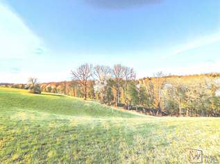 Mitten im Wienerwald: Baugrund mit Altbestand und Erweiterungspotenzial, 698000 €, Immobilien-Grund und Boden in 2384 Breitenfurt