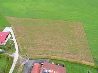 Baugrundstück in 5133 Gilgenberg am Weilhart, 96910 €, Immobilien-Grund und Boden in 5133 Gilgenberg am Weilhart Baugrundstück in 5133 Gilgenberg am Weilhart, 96910 €, Immobilien-Grund und Boden in 5133 Gilgenberg am Weilhart