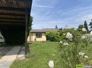 "ab 2026 die Badesaison genießen" Pachtgrund mit Bungalow mit großem Garten und Pool in der Feriensiedlung beim Badeteich Steinbrunn, 129000 €, Immobilien-Häuser in 7035 Steinbrunn