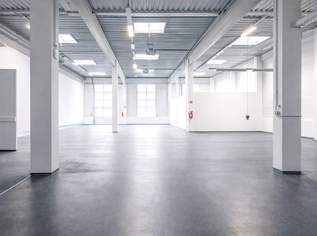 Lagerhalle 430 m2 südlich von Wien, in Wr. Neudorf, 4460 €, Immobilien-Gewerbeobjekte in 2351 Gemeinde Wiener Neudorf Lagerhalle 430 m2 südlich von Wien, in Wr. Neudorf, 4460 €, Immobilien-Gewerbeobjekte in 2351 Gemeinde Wiener Neudorf