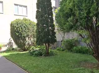 Gepflegte 2 Zimmer in 1A Lage Nahe zum Spitz oder Kagranerplatz Gepflegte 2 Zimmer in 1A Lage Nahe zum Spitz oder Kagranerplatz