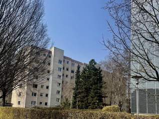 Geräumige Wohnung in Toplage am Bindermichl!, 0 €, Immobilien-Wohnungen in Oberösterreich