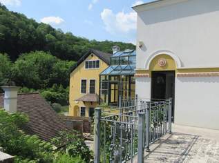 REPRÄSENTATIVES ANWESEN IM WIENERWALD - NÄHE BADEN, 2500000 €, Immobilien-Häuser in 2532 Katastralgemeinde Heiligenkreuz REPRÄSENTATIVES ANWESEN IM WIENERWALD - NÄHE BADEN, 2500000 €, Immobilien-Häuser in 2532 Katastralgemeinde Heiligenkreuz