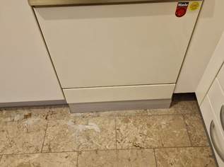 Thermodesinfektor, 80 €, Marktplatz-Sammlungen & Haushaltsauflösungen in 1160 Ottakring