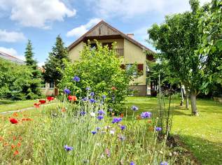 ... Rehe vor dem Fenster !!!, 429000 €, Immobilien-Häuser in 2230 Gemeinde Gänserndorf